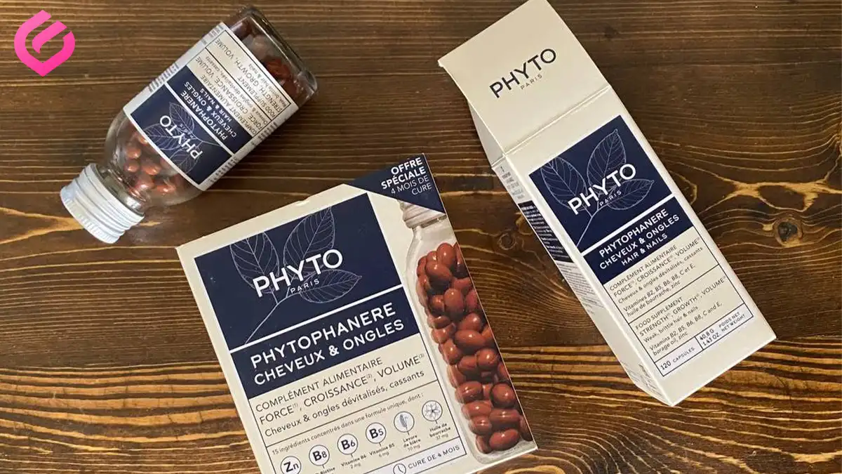 معرفی مکمل فیتو