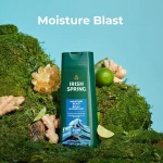 Irish Spring Moisture Blast Body Wash