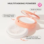 مشخصات پودر فیکس شیگلم