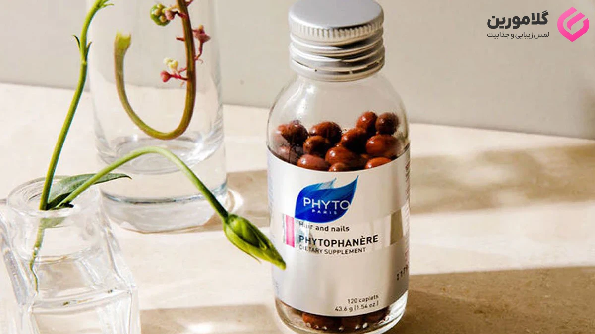 معرفی مکمل فیتو