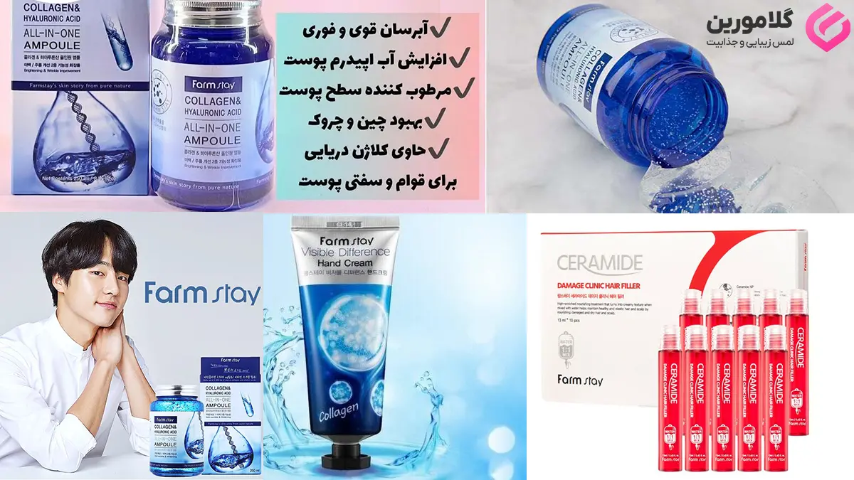 معرفی محصولات فارم استی